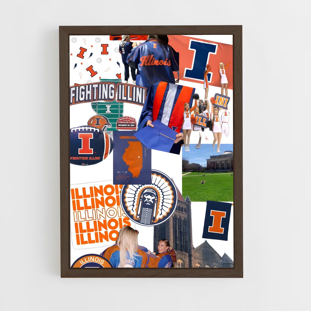 Poster Fighting Spirit Illinois – affiche Basketball (vue 5)